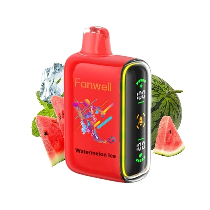 Fanwell 15000 Puffs Disposable Vape LED Indicator Dual Mesh Coil Vape