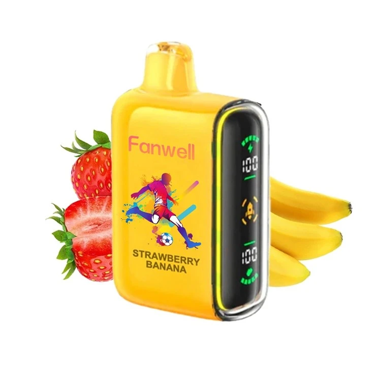 Fanwell 15000 Puffs Disposable Vape LED Indicator Dual Mesh Coil Vape